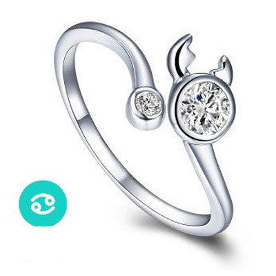 12 Zodiac Ring Aries Taurus Gemini Cancer Virgo Libra Scorpius Sagittarius Capricornus Wedding Love CZ  Adjustable Rings
