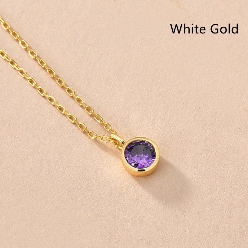 Women's Fashionable Simple Sterling Silver Solitaire Necklace With Twelve Zodiac Signs