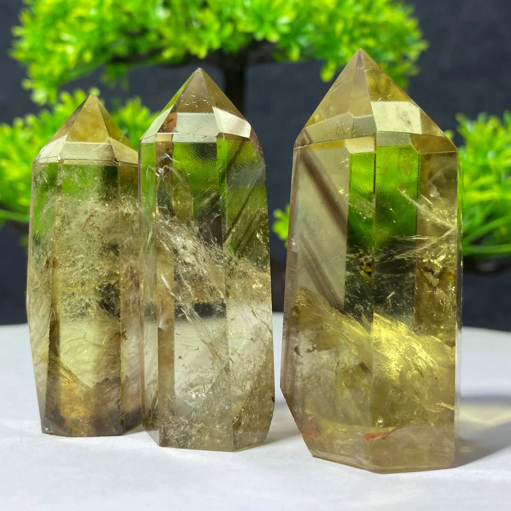 Three natural clear quartz crystal points with golden-yellow and green hues, standing on a white surface with a blurred green plant background.